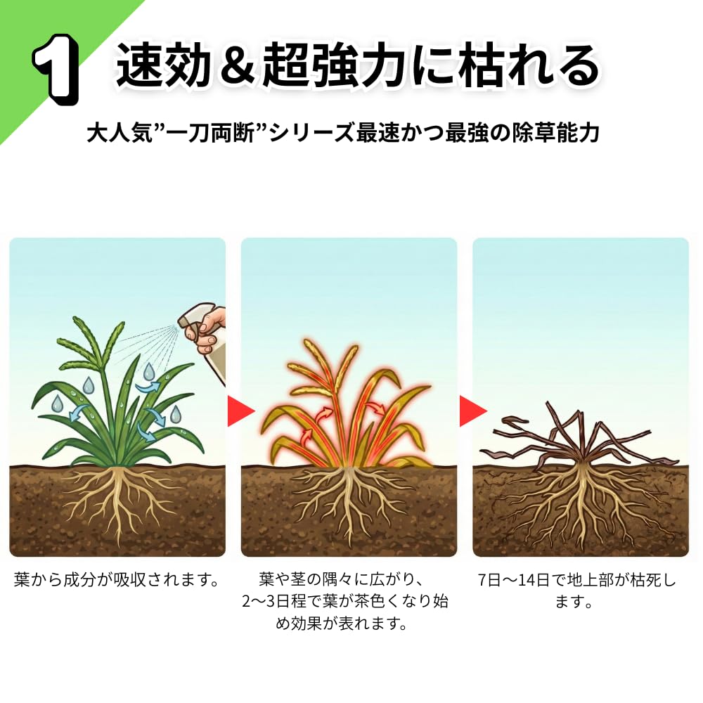Amazon.co.jp: 一刀両断草キラー 除草剤 5L グルホシネート18.5
